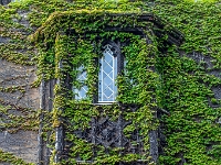 Cambridge